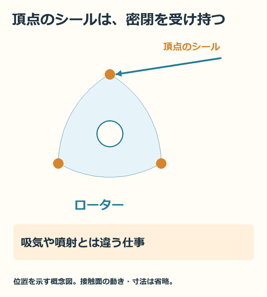 ローターの頂点の密閉と、接触しながら動く面に注目するための概念図です。