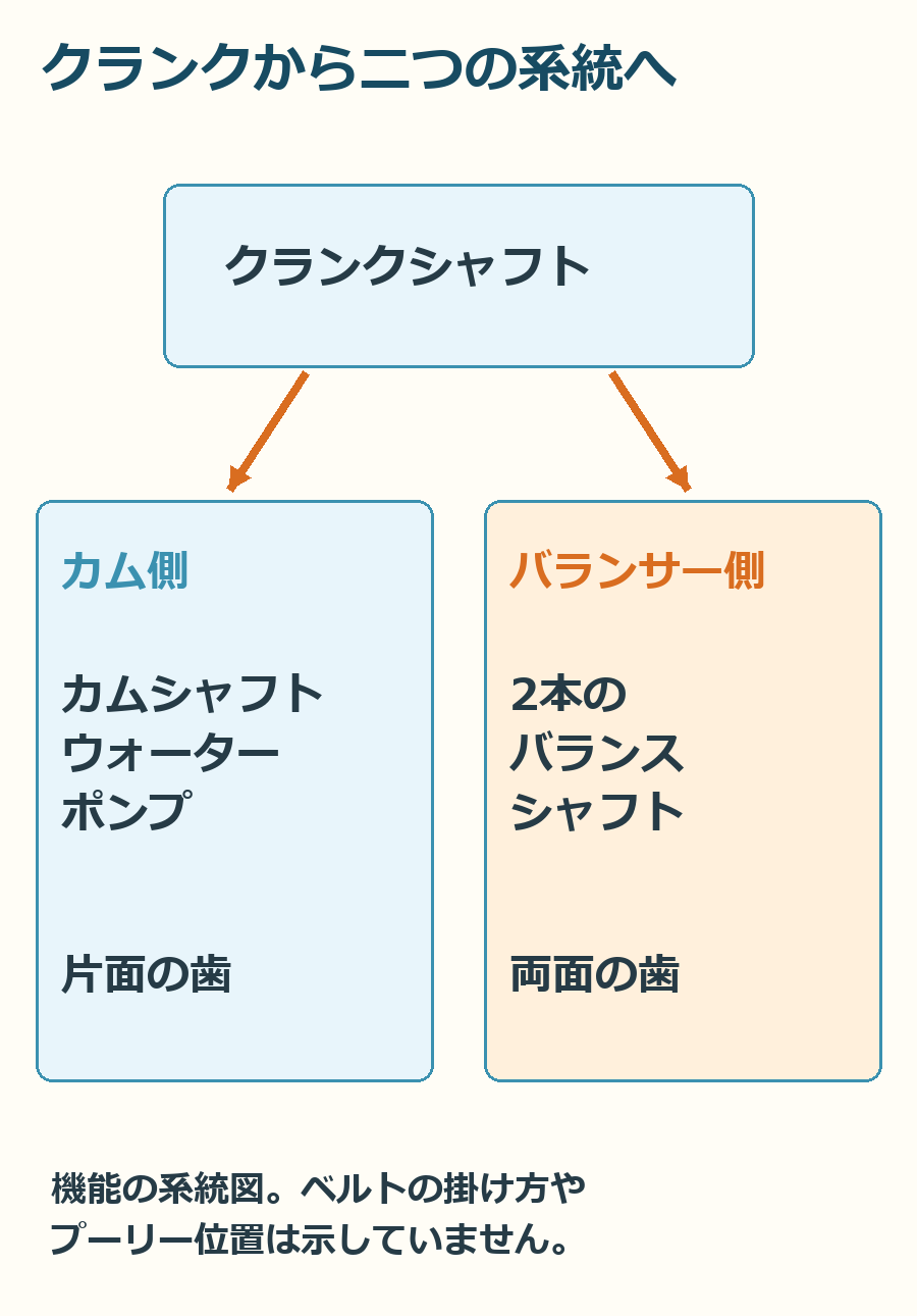 クランクから分かれる二つのベルト系統。実物の掛け方やプーリー位置を示す整備図ではありません。